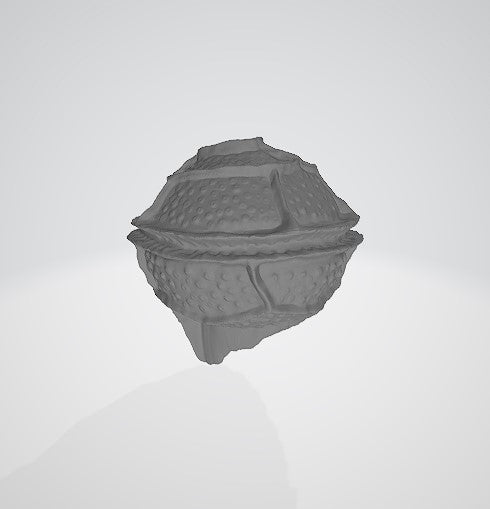 Pyrodinium bahamense 3D (model 1)