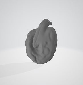 Amphidinium cartae 3D (for US universities)