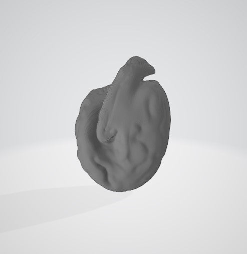 Amphidinium cartae 3D (for US universities)
