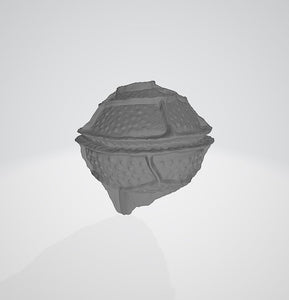 Amphidinium cartae 3D (for US universities)