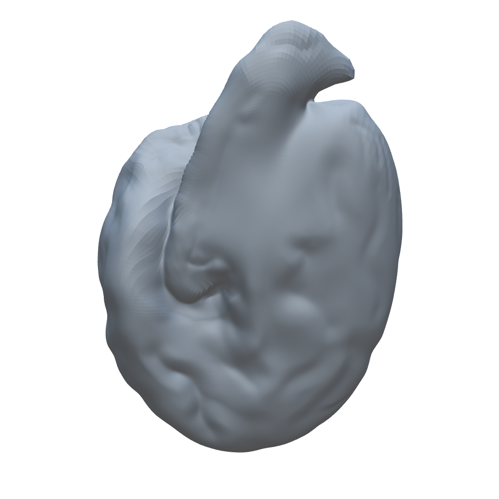 3D view of the microorganism