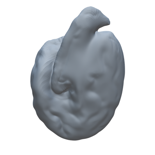 3D view of the microorganism
